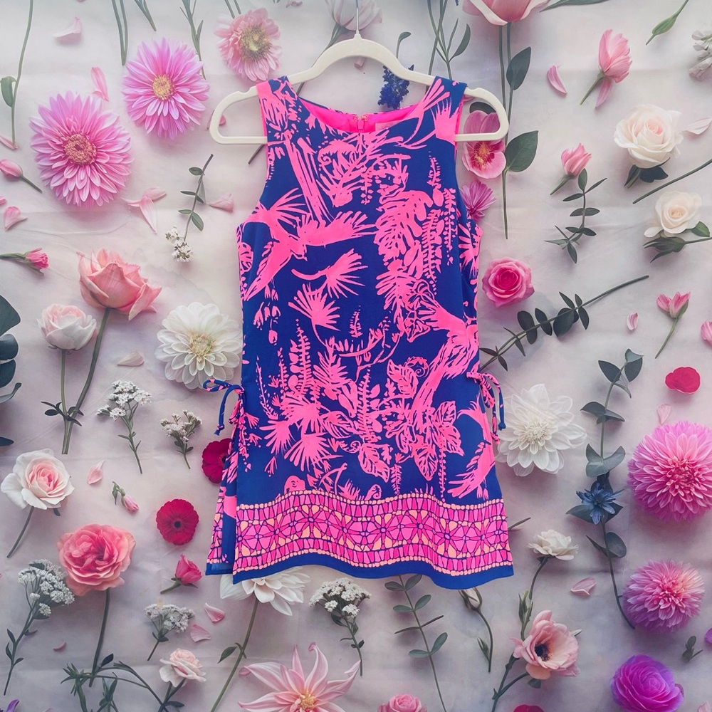 Lilly Pulitzer Pink and Blue Dress